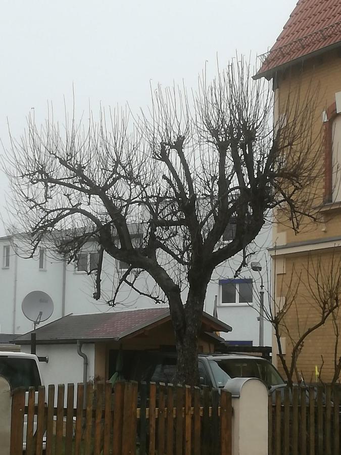 Auestrasse 94A Ξενοδοχείο Glauchau Εξωτερικό φωτογραφία