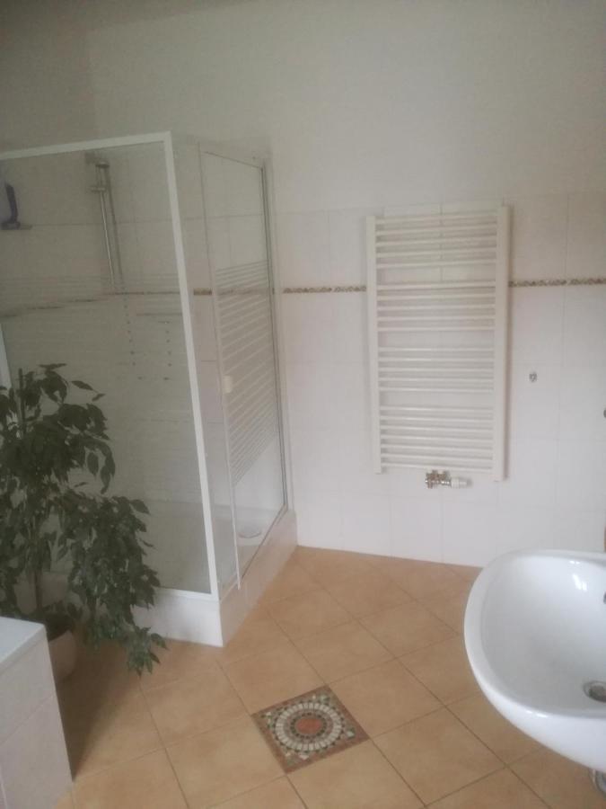 Auestrasse 94A Ξενοδοχείο Glauchau Εξωτερικό φωτογραφία
